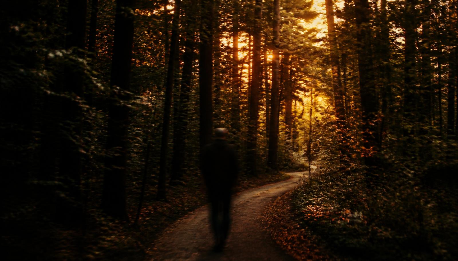 A long-exposure photograph of a lone figure walking a forest path at dusk, dappled sunlight falling through trees and motion blur suggesting restlessness.